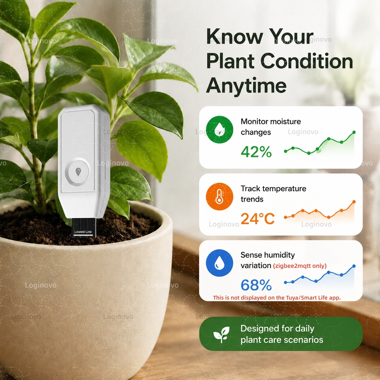 ทูยา ซิกบีเครื่องทดสอบความชื้น - Home Automation Ideas บทวิจารณ์และราคา